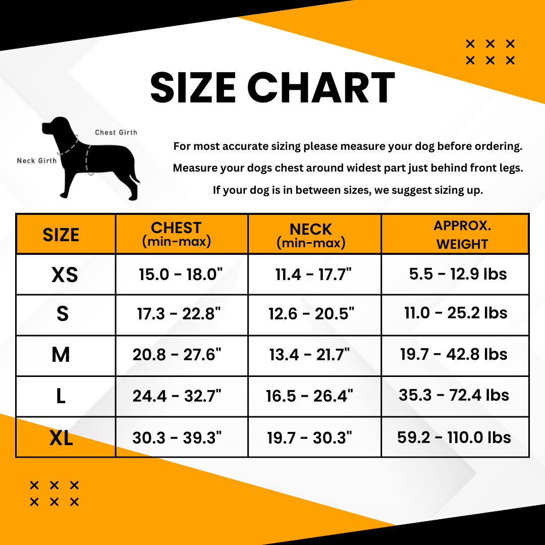 Personalized Canine Comfort Harness | Premium Comfort Home & Lifestyle Product UK