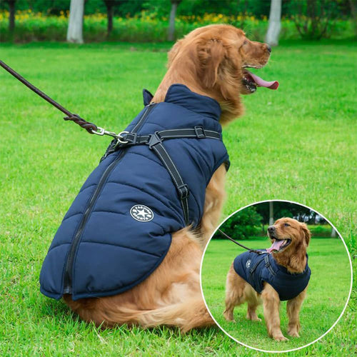 Waterproof Dog Coat | Premium Beauty & Wellness Device UK | Premium Comfort Home & Lifestyle Product UK
