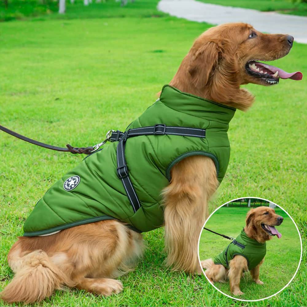 Waterproof Dog Coat | Premium Beauty & Wellness Device UK | Premium Comfort Home & Lifestyle Product UK