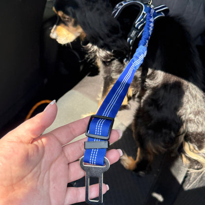 Pet Seat Belt Leash | Premium Comfort Home & Lifestyle Product UK