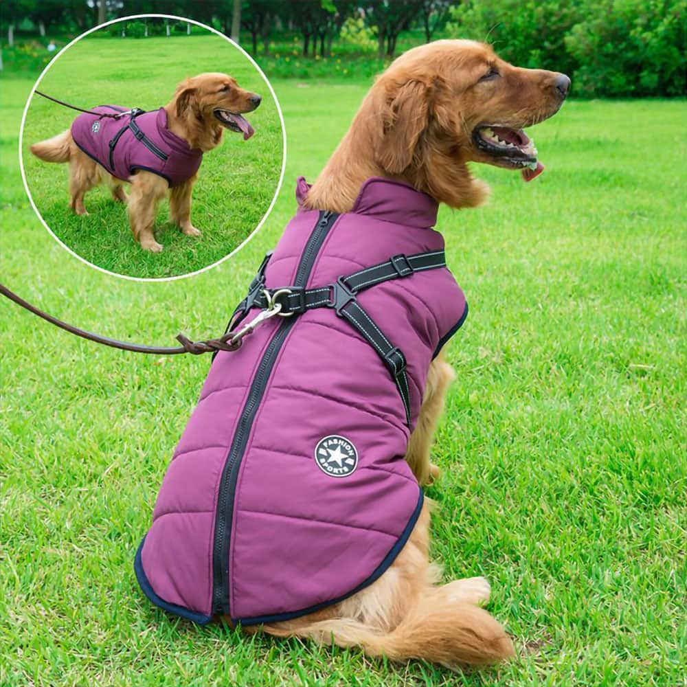 Waterproof Dog Coat | Premium Beauty & Wellness Device UK | Premium Comfort Home & Lifestyle Product UK