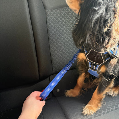Pet Seat Belt Leash | Premium Comfort Home & Lifestyle Product UK
