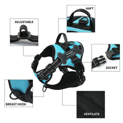 Personalized Canine Comfort Harness | Premium Comfort Home & Lifestyle Product UK