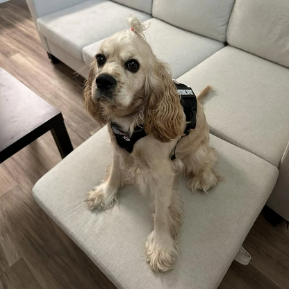 Ultimate Tactical Dog Harness Vest | Premium Comfort Home & Lifestyle Product UK