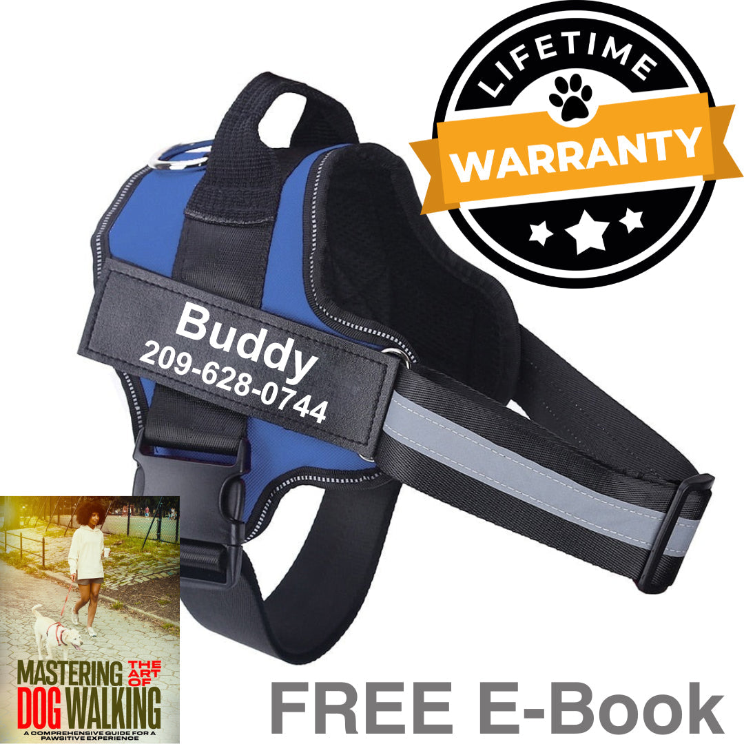 Personalized No Pull Dog Harness | Premium Comfort Home & Lifestyle Product UK