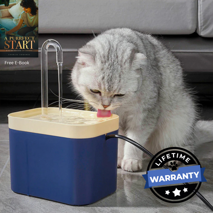 Vet Recommended Cat Water Fountain | Premium Comfort Home & Lifestyle Product UK