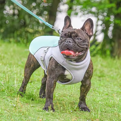 Summer Dog Cooling Vest | Premium Comfort Home & Lifestyle Product UK