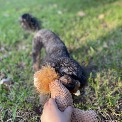 Buddy Dog Toy | Premium Comfort Home & Lifestyle Product UK