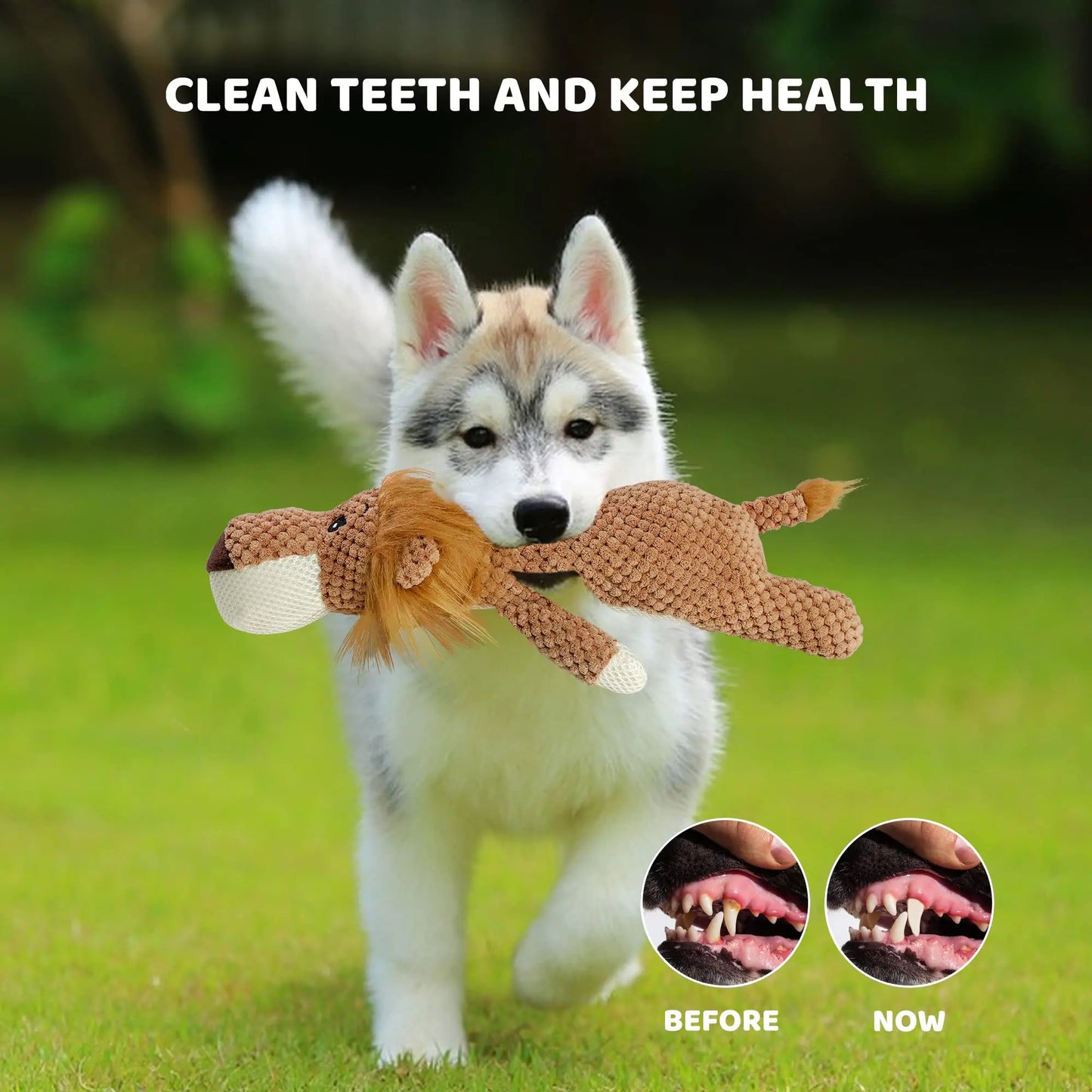 Buddy Dog Toy | Premium Comfort Home & Lifestyle Product UK