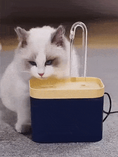 Vet Recommended Cat Water Fountain | Premium Comfort Home & Lifestyle Product UK