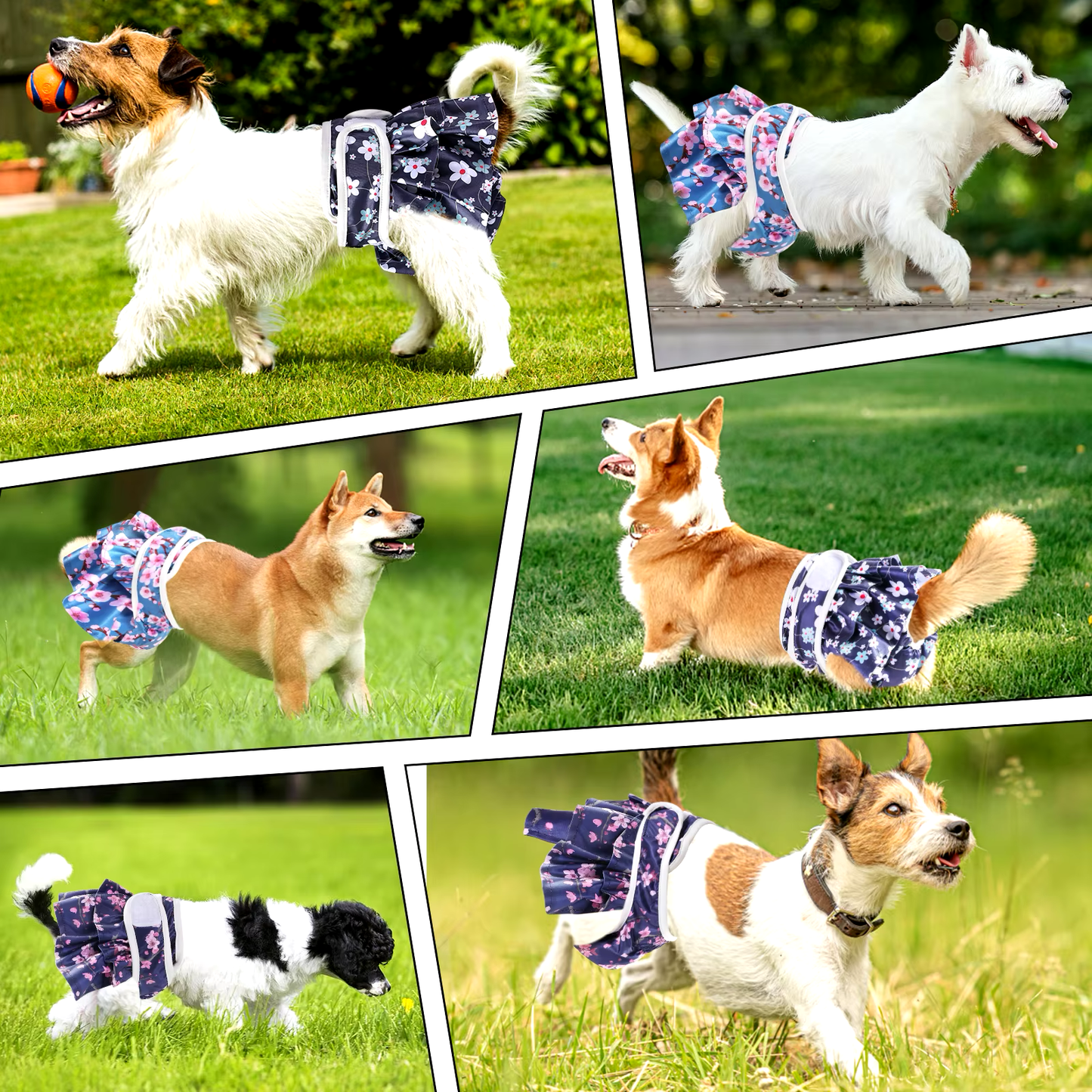 ChicPet Adjustable Doggy Diapers | Premium Comfort Home & Lifestyle Product UK