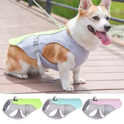Summer Dog Cooling Vest | Premium Comfort Home & Lifestyle Product UK