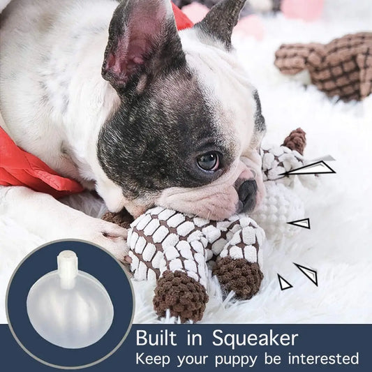 SqueakyChew Toy | Premium Comfort Home & Lifestyle Product UK