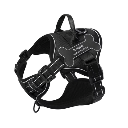Personalized Canine Comfort Harness | Premium Comfort Home & Lifestyle Product UK