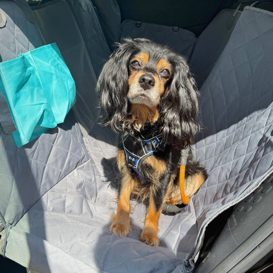 Ultimate Dog Travel Hammock | Premium Comfort Home & Lifestyle Product UK