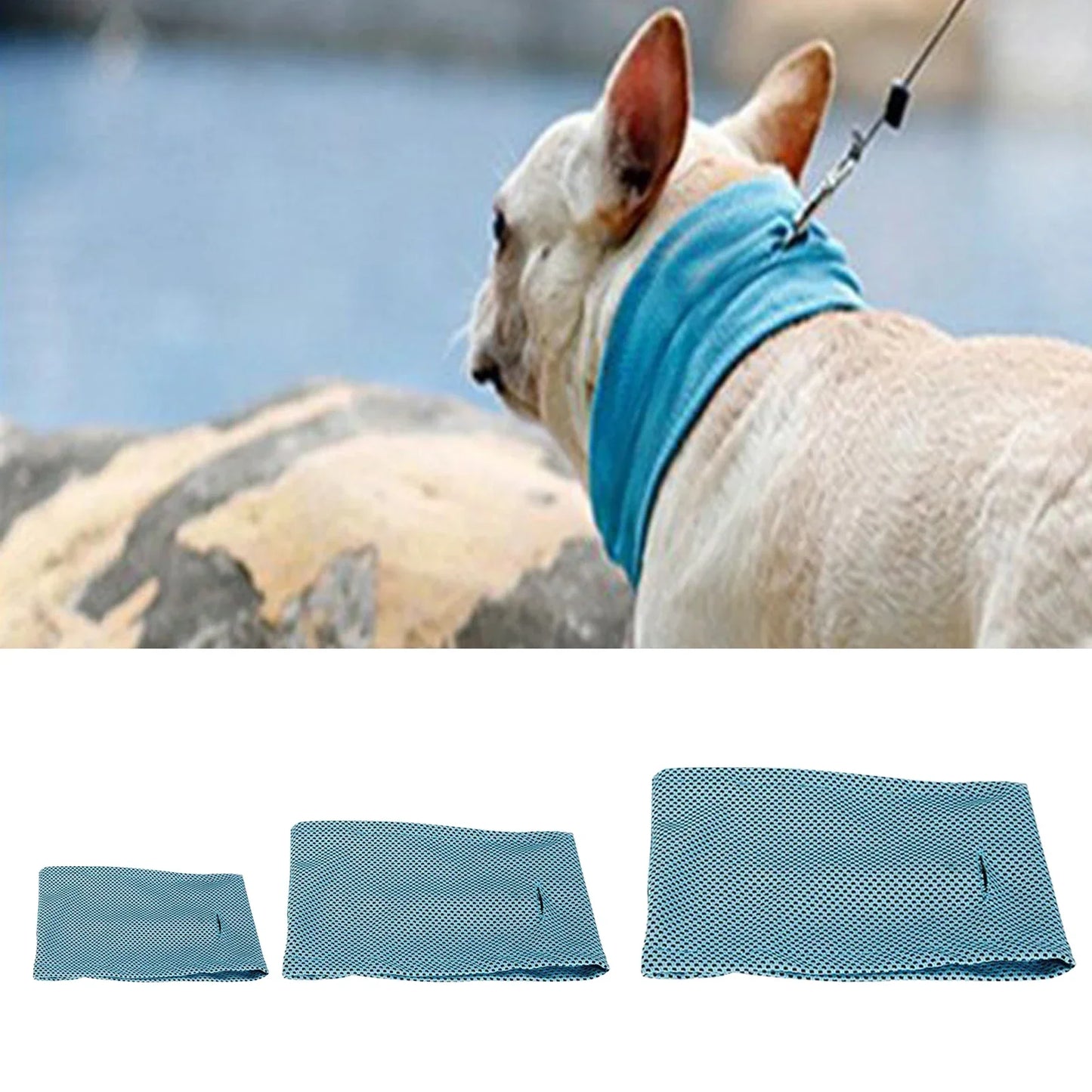 CoolPaws Pet Bandana | Premium Comfort Home & Lifestyle Product UK
