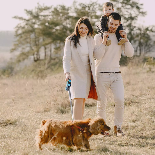 Automatic Retractable Dog Leash | Premium Comfort Home & Lifestyle Product UK