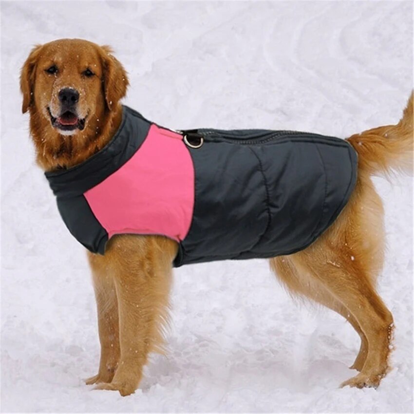 CozyCanine Winter Dog Vest | Premium Comfort Home & Lifestyle Product UK