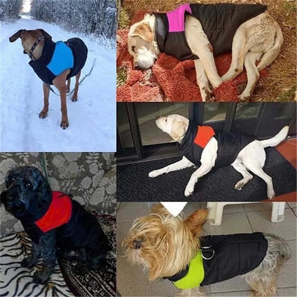 CozyCanine Winter Dog Vest | Premium Comfort Home & Lifestyle Product UK