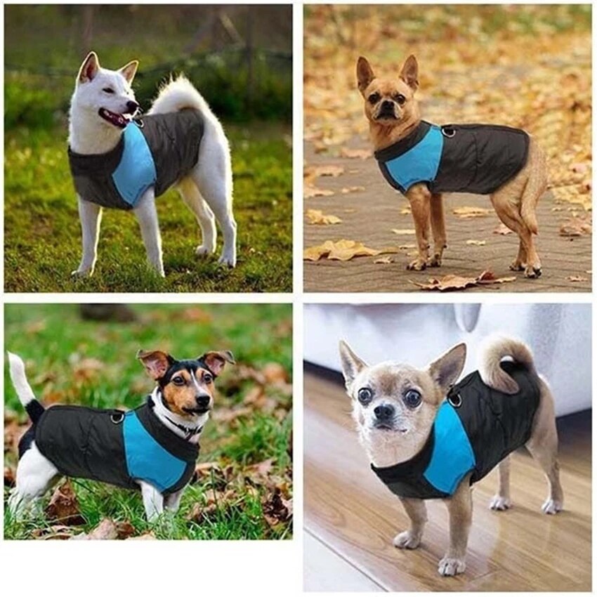 CozyCanine Winter Dog Vest | Premium Comfort Home & Lifestyle Product UK