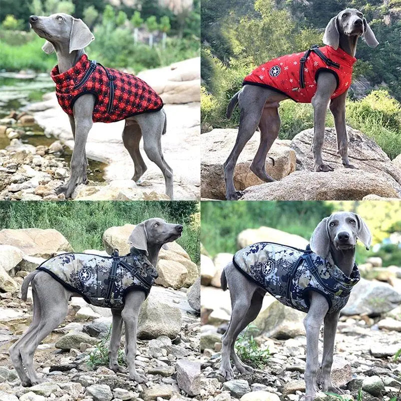 Cozy Paws Waterproof Dog Jacket | Premium Comfort Home & Lifestyle Product UK