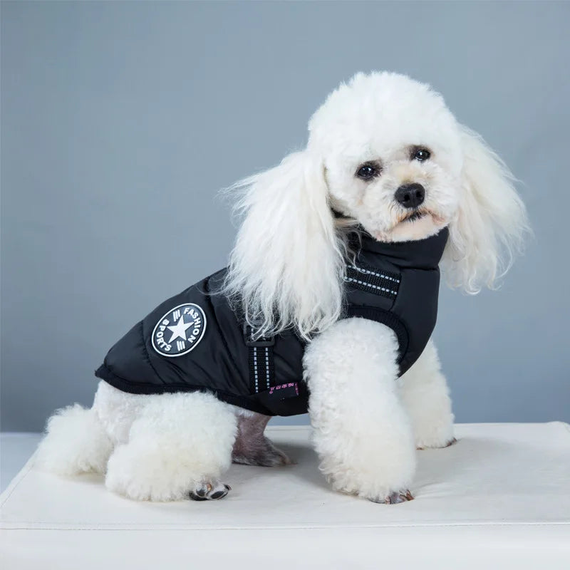 Cozy Paws Waterproof Dog Jacket | Premium Comfort Home & Lifestyle Product UK