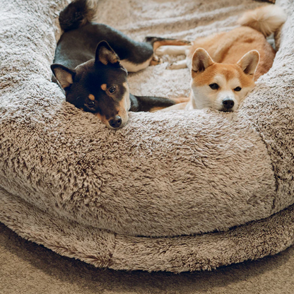 Companion Lounger Human Pet Bed | Premium Comfort Home & Lifestyle Product UK