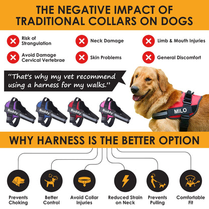Personalized No Pull Dog Harness | Premium Comfort Home & Lifestyle Product UK