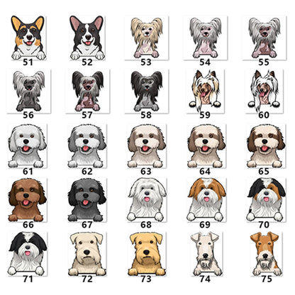 Personalized Pet Toy Basket | Premium Comfort Home & Lifestyle Product UK