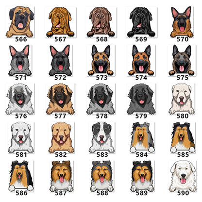 Personalized Pet Toy Basket | Premium Comfort Home & Lifestyle Product UK