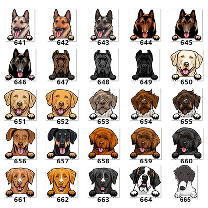 Personalized Pet Toy Basket | Premium Comfort Home & Lifestyle Product UK