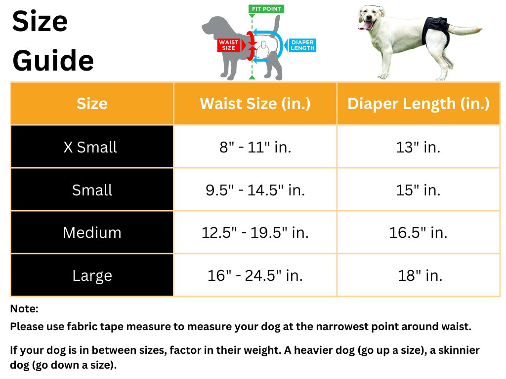 ChicPet Adjustable Doggy Diapers | Premium Comfort Home & Lifestyle Product UK