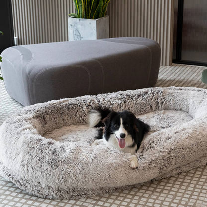 Companion Lounger Human Pet Bed | Premium Comfort Home & Lifestyle Product UK