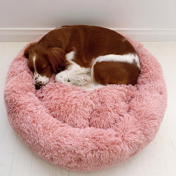 Anti Anxiety Calming Dog Bed | Premium Comfort Home & Lifestyle Product UK