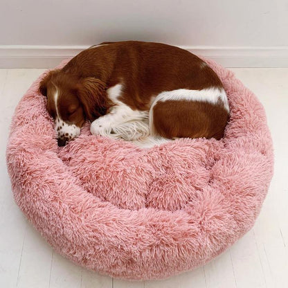 Anti Anxiety Calming Dog Bed | Premium Comfort Home & Lifestyle Product UK