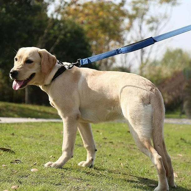 Heavy Duty Double Handle Dog Leash | Premium Comfort Home & Lifestyle Product UK