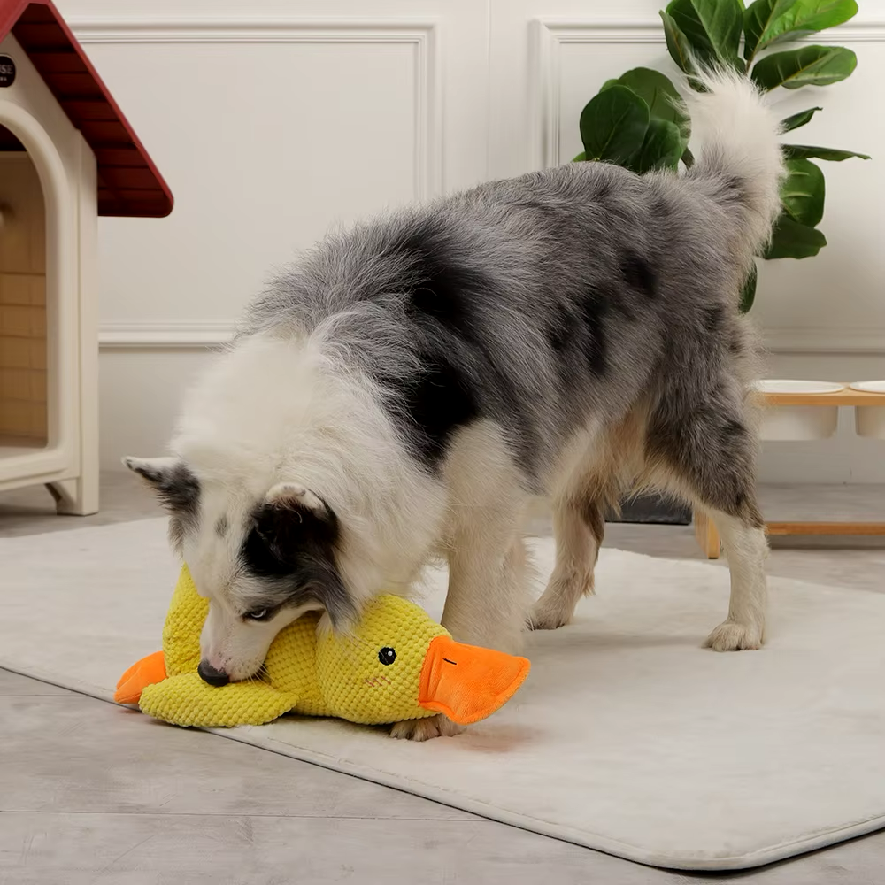 Tough Duck Calming Chew Toy | Premium Comfort Home & Lifestyle Product UK