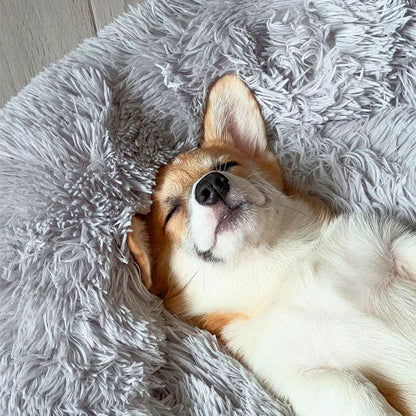 Anti Anxiety Calming Dog Bed | Premium Comfort Home & Lifestyle Product UK