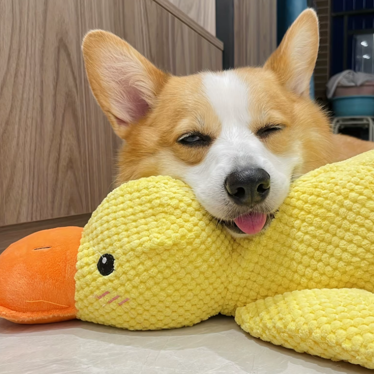 Tough Duck Calming Chew Toy | Premium Comfort Home & Lifestyle Product UK