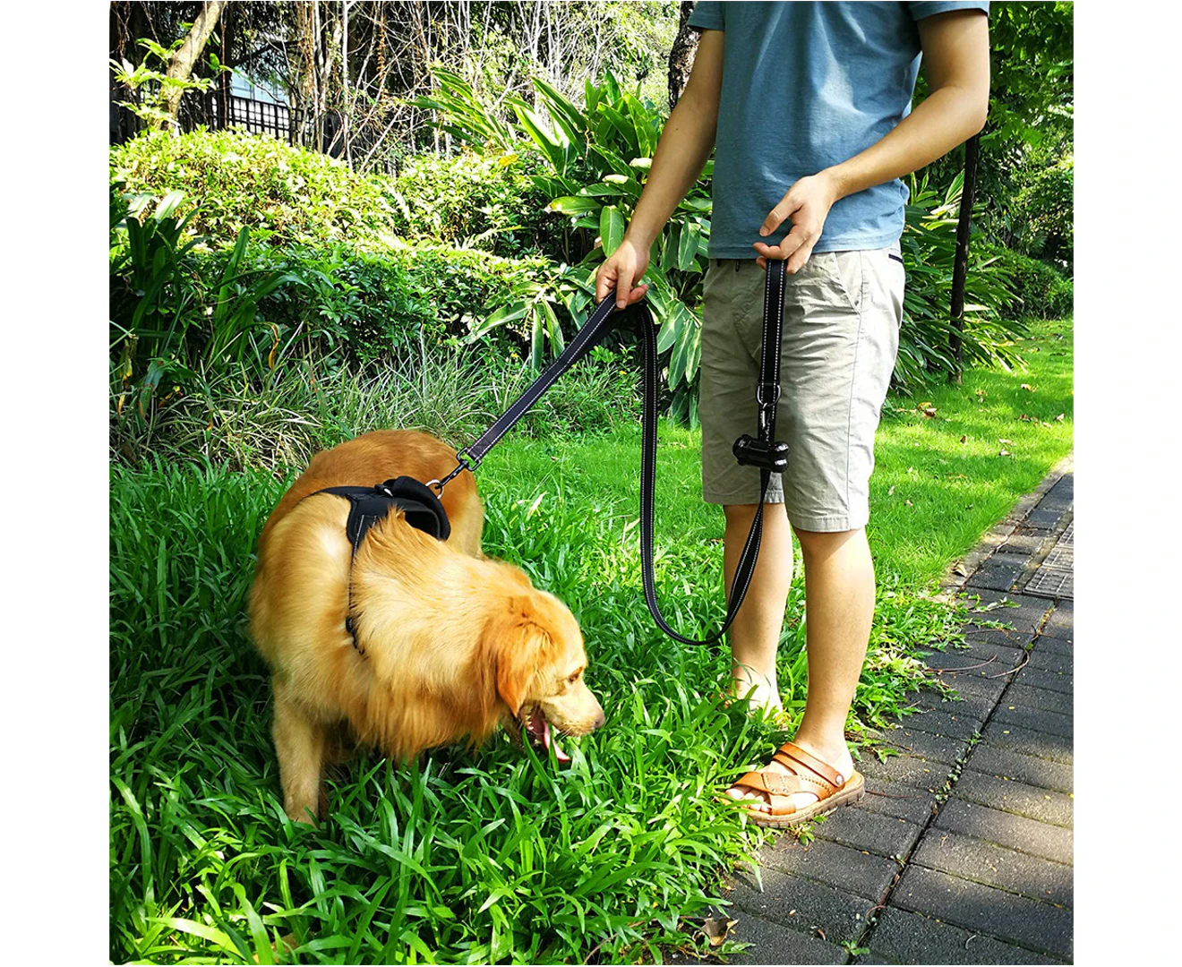 Heavy Duty Double Handle Dog Leash | Premium Comfort Home & Lifestyle Product UK