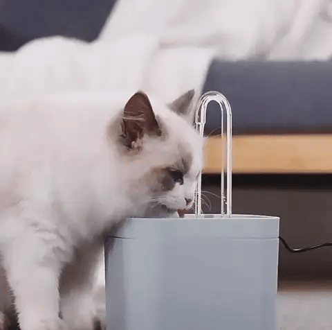 Vet Recommended Cat Water Fountain | Premium Comfort Home & Lifestyle Product UK