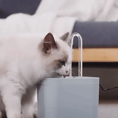 Vet Recommended Cat Water Fountain | Premium Comfort Home & Lifestyle Product UK