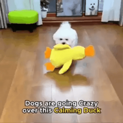 Tough Duck Calming Chew Toy | Premium Comfort Home & Lifestyle Product UK
