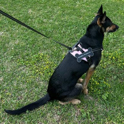 Personalized Canine Comfort Harness | Premium Comfort Home & Lifestyle Product UK