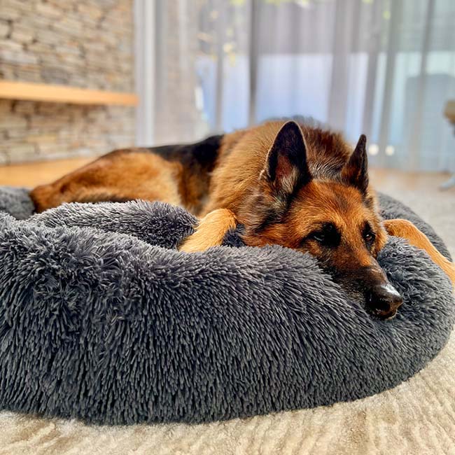 Anti Anxiety Calming Dog Bed | Premium Comfort Home & Lifestyle Product UK
