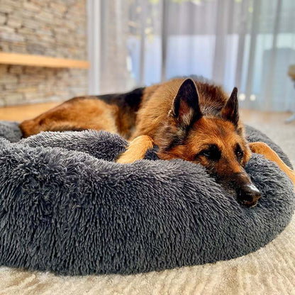 Anti Anxiety Calming Dog Bed | Premium Comfort Home & Lifestyle Product UK