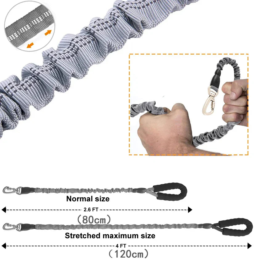 GlowFlex Dog Leash | Premium Comfort Home & Lifestyle Product UK