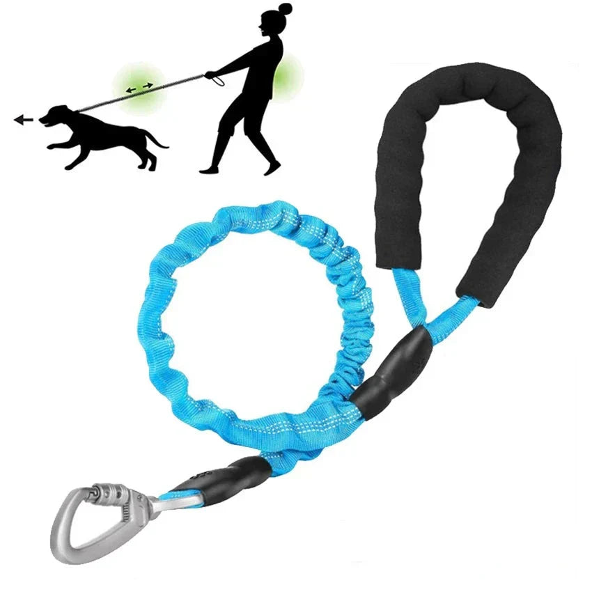 GlowFlex Dog Leash | Premium Comfort Home & Lifestyle Product UK