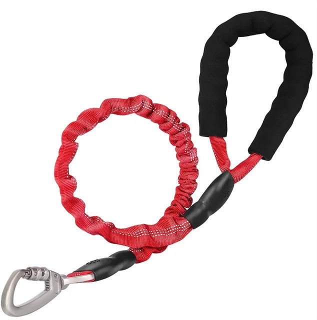 GlowFlex Dog Leash | Premium Comfort Home & Lifestyle Product UK