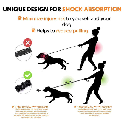 GlowFlex Dog Leash | Premium Comfort Home & Lifestyle Product UK